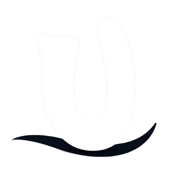 Universal Ship Services